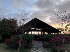 -芒洲湿地公园