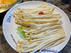 金针菇-小龙坎火锅(全球总店)