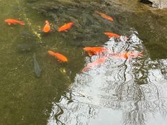 -途中饭店(开化店)