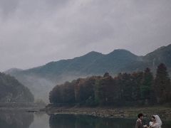 -小芝红树林