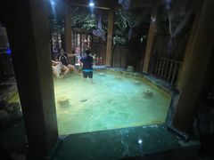 -汉拿山温泉度假酒店