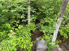 -滨河世纪广场公园