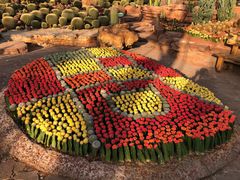 -南通洲际绿博园