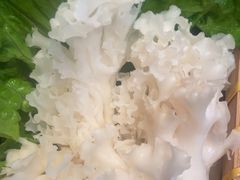 -老员外骨汤火锅(海州古城店)