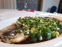 翠绿海鲈鱼-石浦大酒店(百丈店)
