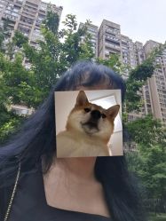 点击看大图 -HD HAIR STYLE