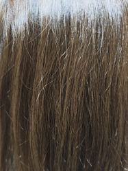 -波斯坦植物养发馆