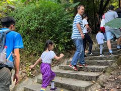 -火炉山森林公园