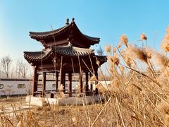 -水西公园