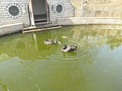 -南宫五洲植物乐园