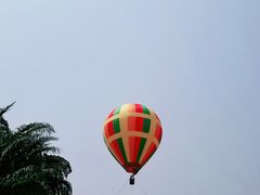 -中国科学院西双版纳热带植物园