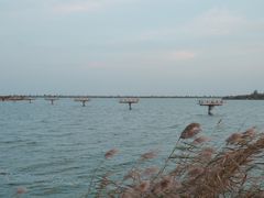 -包头南海湿地景区