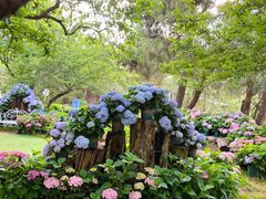 -名花谷生态庄园