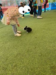 -萌宠亲子动物乐园(槐房万达店)