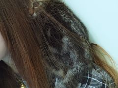 -佳怡动物医院·平价24小时·猫专科骨外科