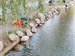 -五龙城郊森林公园