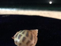 -亚龙湾喜来登·美景台大堂吧
