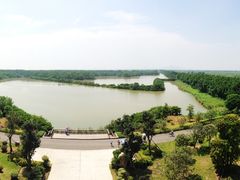 -大湾区中央湿地公园