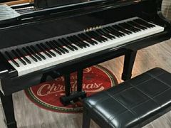 -梅纳·钢琴声乐架子鼓Mena Music(双井店)