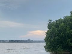 -宝安西湾红树林湿地公园