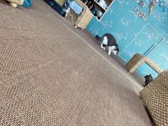 -ChaKo Flora ·茶子花艺 (市北店)