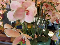 -八府香鸭·啫啫煲(华山路店)