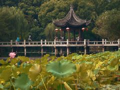 -新江湾城公园