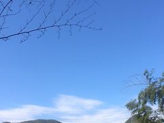 -宁波浙东大竹海景区