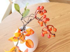 -柴犬小屋·柴餐厅·狗咖食堂(金鼎广场店)