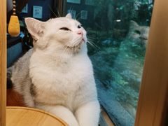 -咖法森林·咖啡  酒吧(天河店)