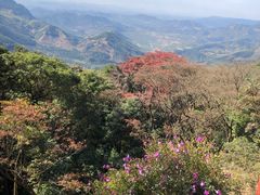 -广州市石门国家森林公园