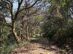 -北仑森林植物园