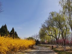 -永定河休闲森林公园