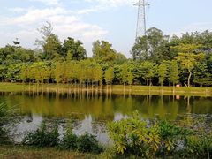 -华南国家植物园-售票处
