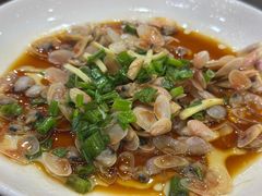 海瓜子-红灯笼龙凤饭店(宁波老字号店)