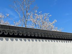 -苏州上方山国家森林公园