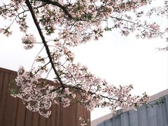 -龙美术馆(西岸馆)