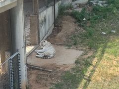 -石家庄市动物园