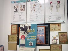 -瑞派雷欧宠物医院·中兽医·眼科·急重症转诊中心(黄台店)
