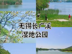 -长广溪湿地公园