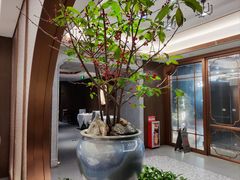 -广州酒家(中华广场店)