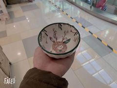 -鹏欣水游城