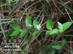 -天芳悦潭度假村温泉