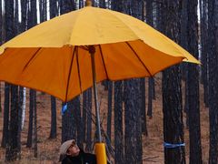 -莫尔道嘎国家森林公园