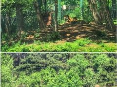 -棋盘山风景区