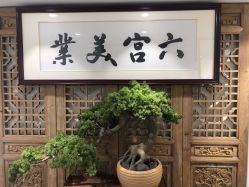 -六宫Spa女子养护中心