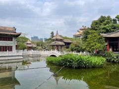 -顺峰山公园