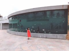 -瑞德姆美人鱼海底演艺主题餐厅(亚龙湾店)