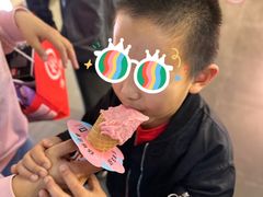 -野人先生现做冰淇淋(北京顺义祥云小镇店)