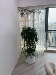 -HEYAN荷妍专业脱毛连锁机构